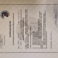 Powiększ obraz: certificate 1