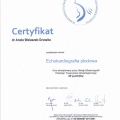 Powiększ obraz: certificate 39