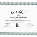 Powiększ obraz: certificate 16