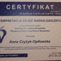 Powiększ obraz: certificate 17