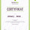 Powiększ obraz: certificate 13