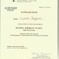 Powiększ obraz: certificate 4