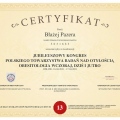 Powiększ obraz: certificate 2