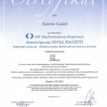Powiększ obraz: certificate 1