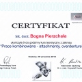 Powiększ obraz: certificate 6