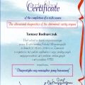 Powiększ obraz: certificate 3