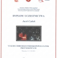 Powiększ obraz: certificate 2