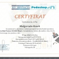 Powiększ obraz: certificate 12