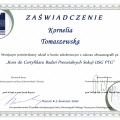 Powiększ obraz: certificate 3