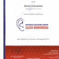 Powiększ obraz: certificate 9