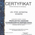 Powiększ obraz: certificate 27