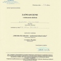 Powiększ obraz: certificate 7