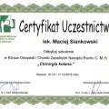 Powiększ obraz: certificate 20