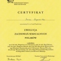 Powiększ obraz: certificate 2