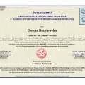 Powiększ obraz: certificate 2