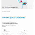 Powiększ obraz: certificate 2