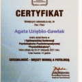 Powiększ obraz: certificate 8