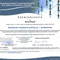 Powiększ obraz: certificate 3