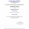 Powiększ obraz: certificate 11