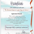 Powiększ obraz: certificate 10