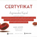 Powiększ obraz: certificate 13