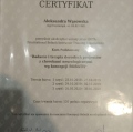 Powiększ obraz: certificate 1
