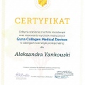 Powiększ obraz: certificate 6