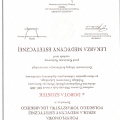 Powiększ obraz: certificate 13