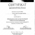 Powiększ obraz: certificate 2