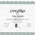 Powiększ obraz: certificate 7
