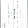 Powiększ obraz: certificate 1