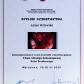 Powiększ obraz: certificate 24