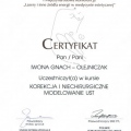 Powiększ obraz: certificate 5
