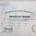 Powiększ obraz: certificate 2