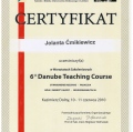 Powiększ obraz: certificate 4