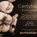 Powiększ obraz: certificate 12