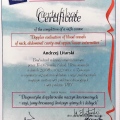 Powiększ obraz: certificate 1
