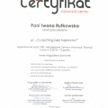 Powiększ obraz: certificate 5