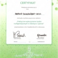 Powiększ obraz: certificate 13