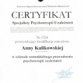 Powiększ obraz: certificate 2