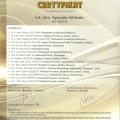 Powiększ obraz: certificate 8