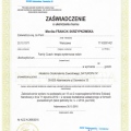 Powiększ obraz: certificate 9