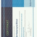 Powiększ obraz: certificate 11