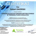 Powiększ obraz: certificate 13