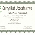 Powiększ obraz: certificate 34