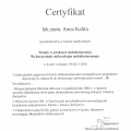 Powiększ obraz: certificate 5