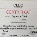 Powiększ obraz: certificate 2