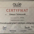 Powiększ obraz: certificate 1