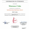 Powiększ obraz: certificate 16