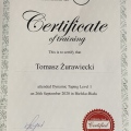 Powiększ obraz: certificate 1